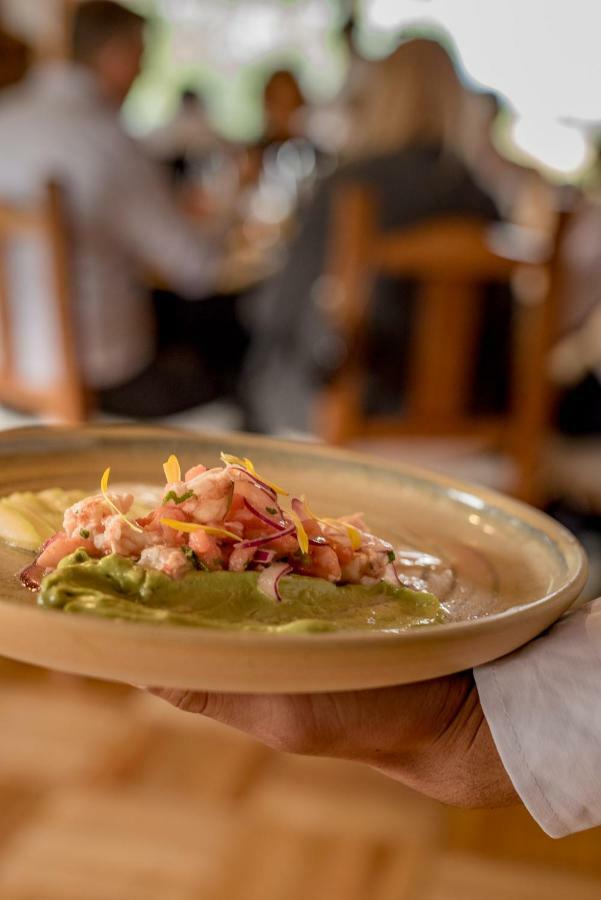 Spring Creek Lodge Junin de los Andes Ngoại thất bức ảnh